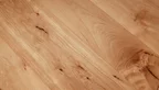 Massivholz Tischplatte Buche mit Baumkante auf Maß