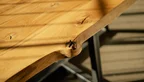 4cm starkes Eichenholz mit Baumkante und Astanteil nach Maß
