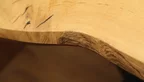 Tisch Holzscheibe aus Eiche massiv in 204cm Länge, Unikat Nr. 303