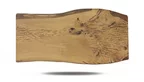 Baumstamm Tischplatte aus Eiche Unikat Nr. 304